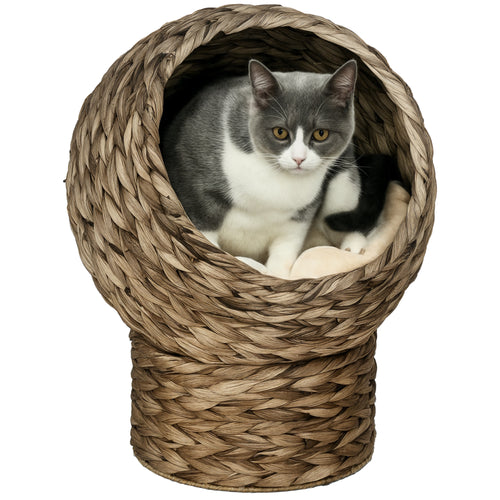 Panier lit surélevé pour chat avec coussin🐾