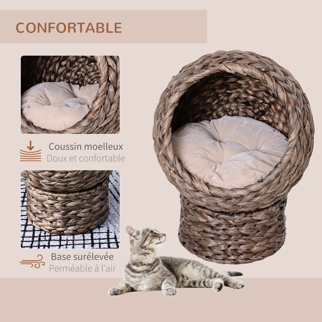 Panier lit surélevé pour chat avec coussin🐾