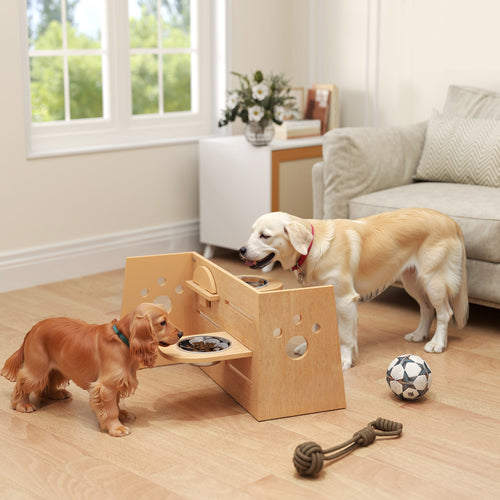 Gamelle surélevée réglage pour chien-2 bols🐾