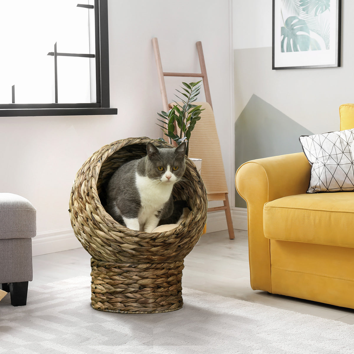 Panier lit surélevé pour chat avec coussin🐾